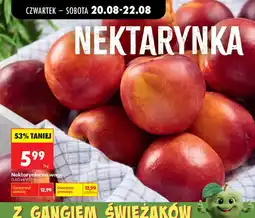 Biedronka Nektarynka na wage oferta