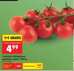 Biedronka Pomidor koktajlowy oferta