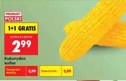 Biedronka Kukurydza kolba oferta
