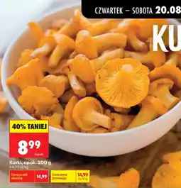 Biedronka Kurki oferta