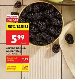 Biedronka Jeżyna polska oferta
