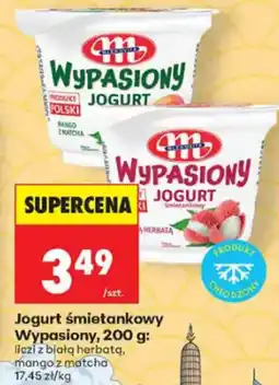 Biedronka Wypasiony Jogurt oferta