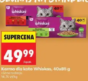 Karma dla kota Whiskas