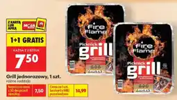 Biedronka Grill jednorazowy oferta