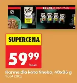 Biedronka Karma dla kota Sheba oferta