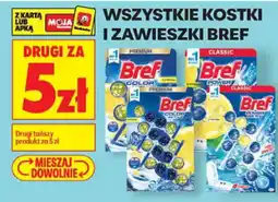 Biedronka Kostki i zawieszki Bref oferta