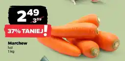 Netto Marchew luz oferta