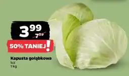 Netto Kapusta gołąbkowa oferta