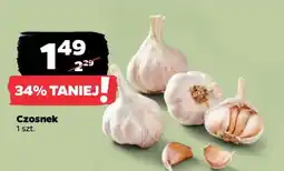 Netto Czosnek oferta