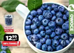 Netto Borówka amerykańska oferta
