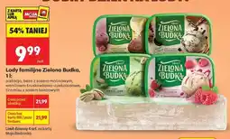 Biedronka Lody familijne Zielona Budka, 1 l oferta