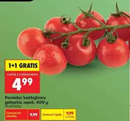 Biedronka Pomidor koktajlowy gałązka opak 400 g oferta