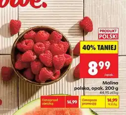 Biedronka Malina polska, opak. 200 g oferta