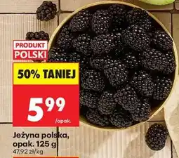 Biedronka Jeżyna polska, opak. 125 g oferta