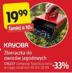 Jula Zbieraczka do owoców jagodowych Kayoba oferta