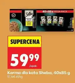 Biedronka Karma dla kota Sheba, 40x85 g oferta