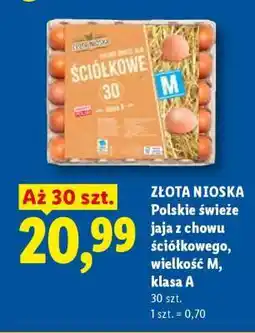 Lidl ZŁOTA NIOSKA Polskie świeże jaja oferta
