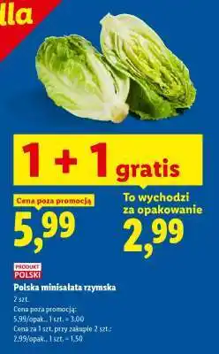 Lidl Polska minisałata rzymska oferta