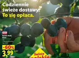Lidl Polskie śliwki, luzem oferta