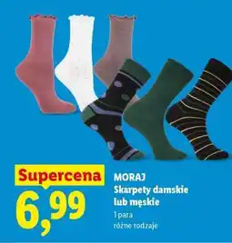 Lidl MORAJ Skarpety damskie lub męskie oferta