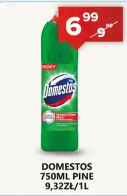 Spiżarnia Smakosza Domestos Pine oferta