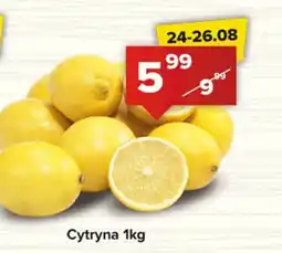Spiżarnia Smakosza Cytryna oferta