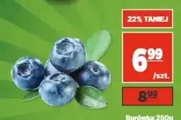 API MARKET Borówka oferta