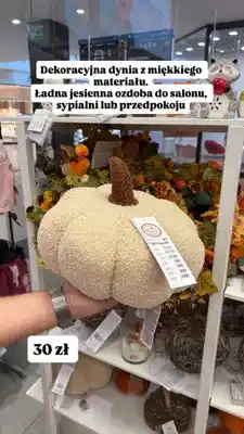 Pepco Dekoracyjna dynia oferta