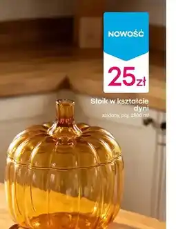 Pepco Słoik oferta