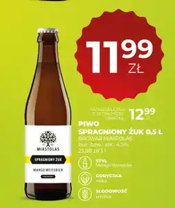 Duży Ben Piwo Spragniony Żuk Browar Miastolas oferta