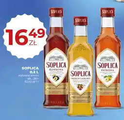 Duży Ben Likier Soplica Śliwkowa oferta
