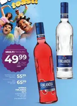 Duży Ben Wódka Finlandia Redberry oferta