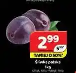 Delfin Śliwka polska oferta