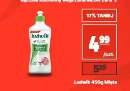 API MARKET Płyn do naczyń Ludwik mięta oferta