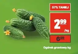 API MARKET Ogórek gruntowy oferta