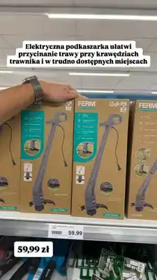 Action Podkaszarka do trawy Ferm 250W oferta