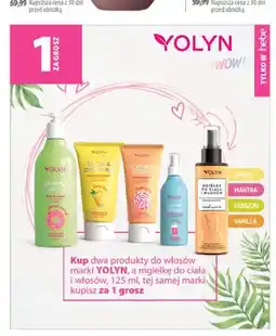 Hebe Mgiełka do ciała i włosów Yolyn oferta
