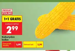 Biedronka Kukurydza Polski oferta