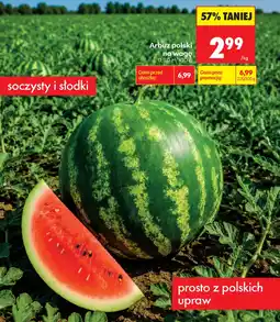 Biedronka Arbuz oferta