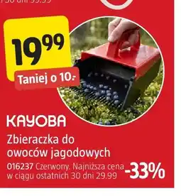 Jula Zbieraczka do owoców jagodowych Kayoba oferta