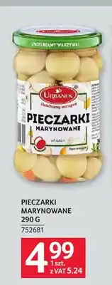 Selgros Pieczarki marynowane Urbanek oferta