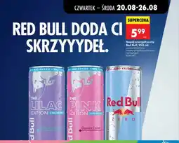 Biedronka Napój energetyczny Red Bull różowy grejpfrut-zioła zero oferta
