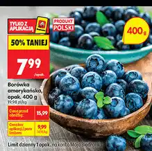 Biedronka Borówka amerykańska, opak oferta