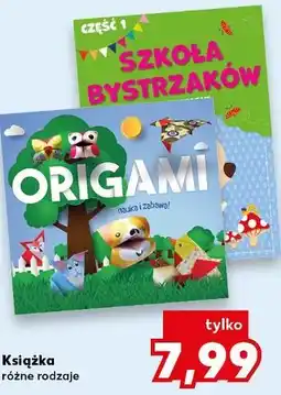 Kaufland Książka (np. Origami, Szkoła Bystrzaków) oferta