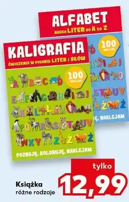 Kaufland Książka (np. Kaligrafia, Alfabet) oferta