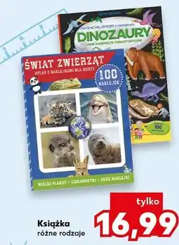 Kaufland Książka (np. Świat zwierząt, Dinozaury) oferta