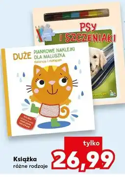 Kaufland Książka (np. Psy i szczeniaki, Duże piankowe naklejki) oferta
