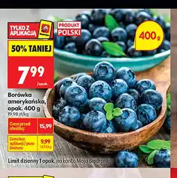 Biedronka Borówka amerykańska oferta