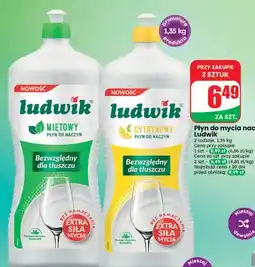 Dino Płyn do mycia naczyń Ludwik miętowy oferta