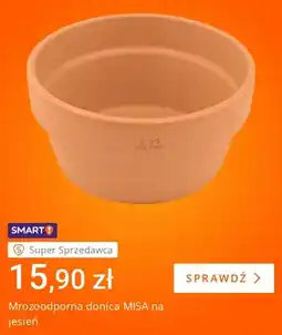Allegro Mrozoodporna donica Misa na jesień oferta